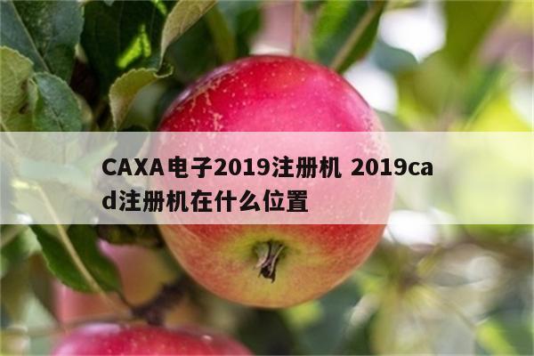 CAXA电子2019注册机 2019cad注册机在什么位置