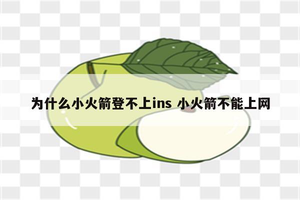 为什么小火箭登不上ins 小火箭不能上网