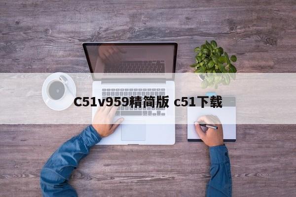 C51v959精简版 c51下载