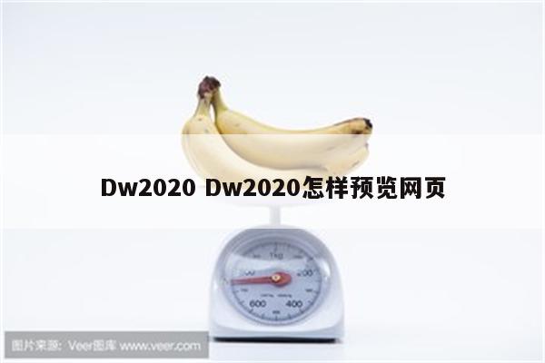 Dw2020 Dw2020怎样预览网页