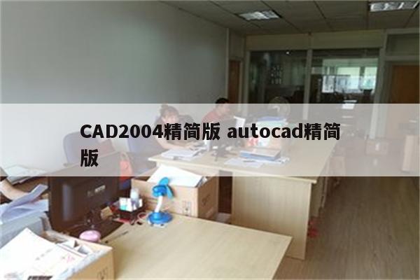 CAD2004精简版 autocad精简版