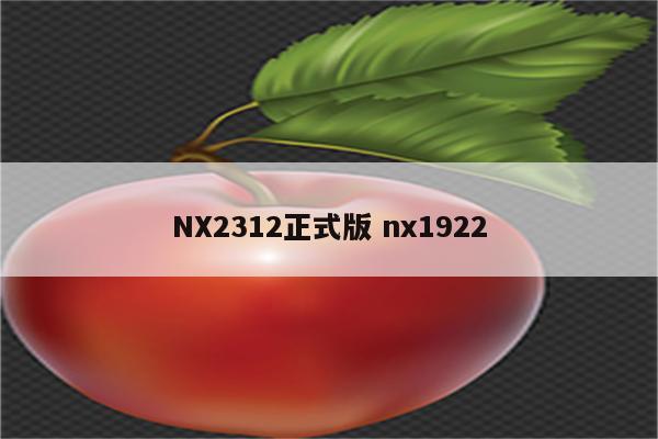 NX2312正式版 nx1922