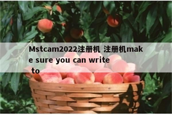 Mstcam2022注册机 注册机make sure you can write to