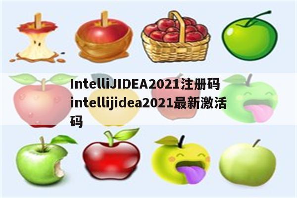 IntelliJIDEA2021注册码 intellijidea2021最新激活码