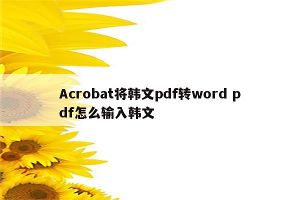 Acrobat将韩文pdf转word pdf怎么输入韩文