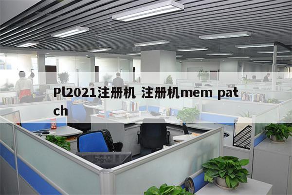 Pl2021注册机 注册机mem patch