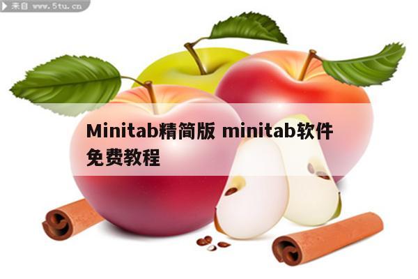 Minitab精简版 minitab软件免费教程