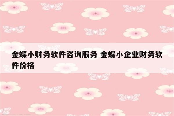 金蝶小财务软件咨询服务 金蝶小企业财务软件价格