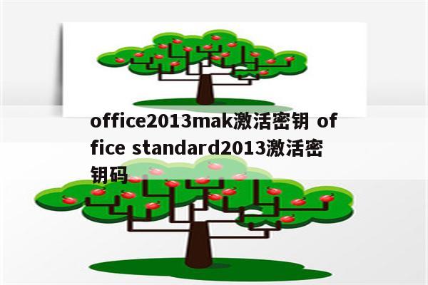 office2013mak激活密钥 office standard2013激活密钥码