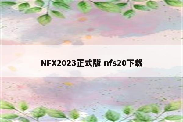 NFX2023正式版 nfs20下载