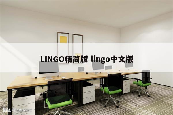 LINGO精简版 lingo中文版