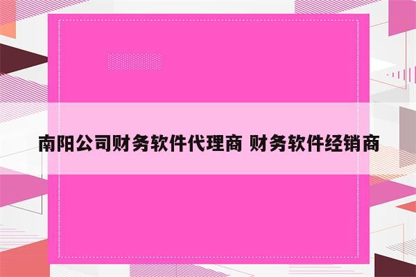 南阳公司财务软件代理商 财务软件经销商