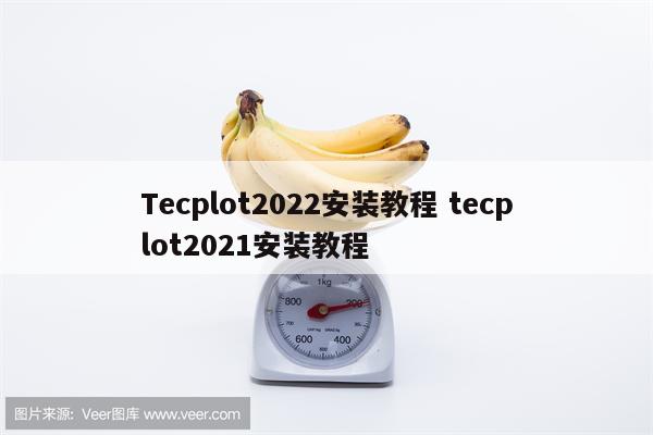 Tecplot2022安装教程 tecplot2021安装教程