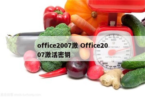 office2007激 Office2007激活密钥