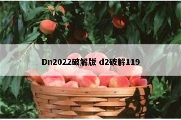 Dn2022破解版 d2破解119