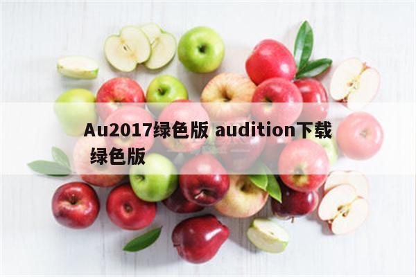 Au2017绿色版 audition下载 绿色版