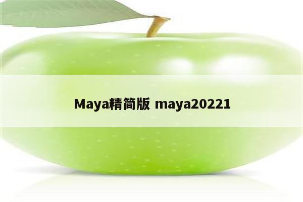 Maya精简版 maya20221