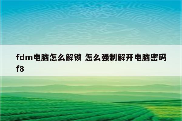 fdm电脑怎么解锁 怎么强制解开电脑密码f8