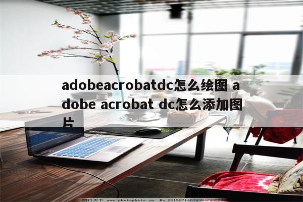 adobeacrobatdc怎么绘图 adobe acrobat dc怎么添加图片