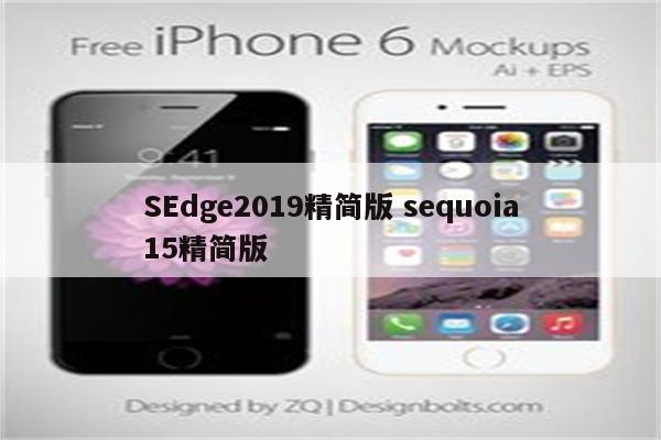 SEdge2019精简版 sequoia15精简版