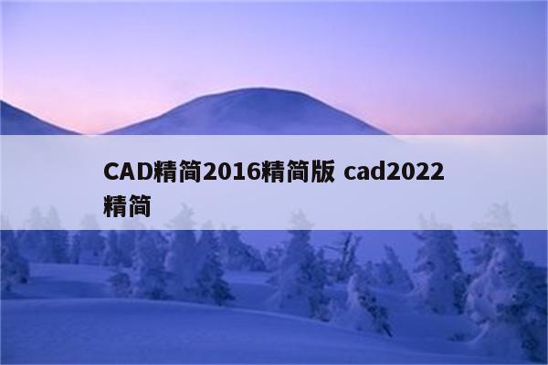 CAD精简2016精简版 cad2022精简