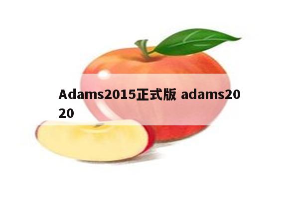 Adams2015正式版 adams2020
