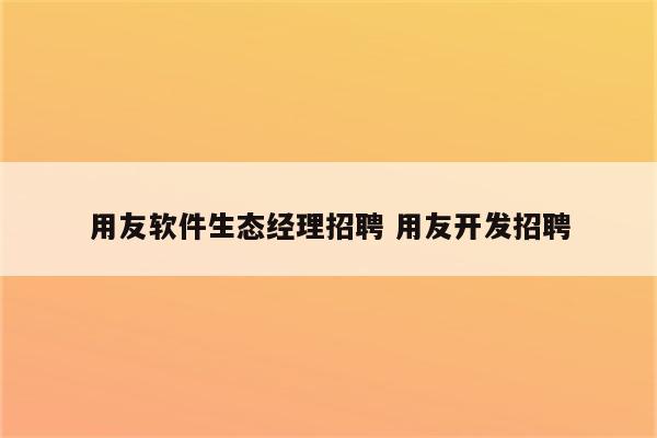 用友软件生态经理招聘 用友开发招聘