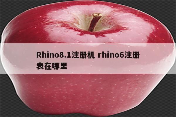 Rhino8.1注册机 rhino6注册表在哪里