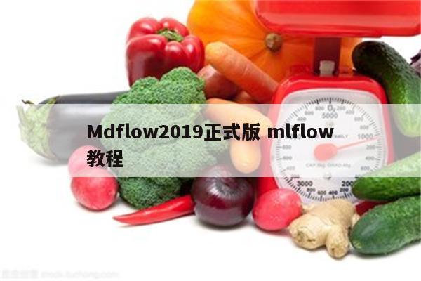 Mdflow2019正式版 mlflow教程