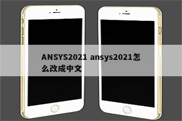 ANSYS2021 ansys2021怎么改成中文