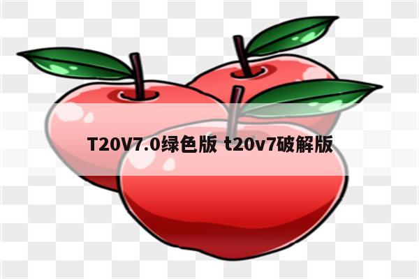 T20V7.0绿色版 t20v7破解版