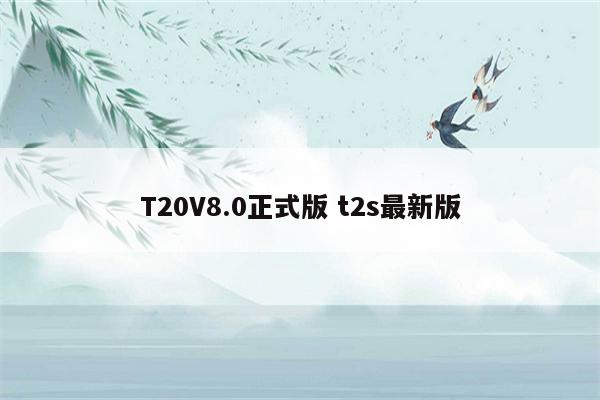 T20V8.0正式版 t2s最新版