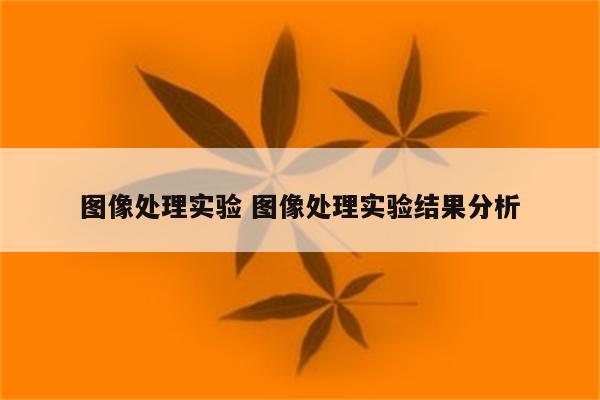 图像处理实验 图像处理实验结果分析