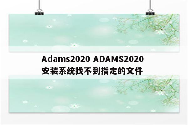 Adams2020 ADAMS2020 安装系统找不到指定的文件