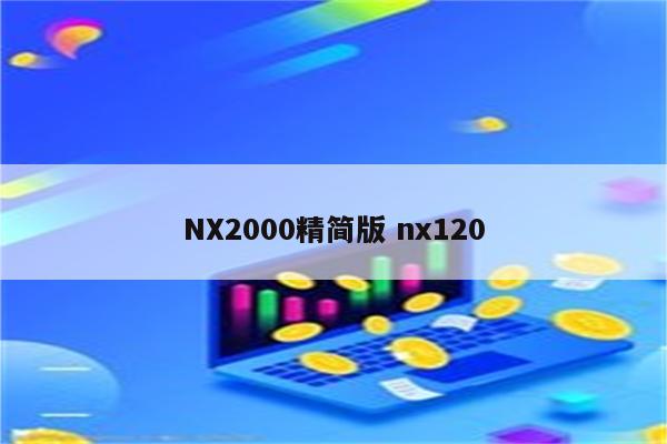 NX2000精简版 nx120