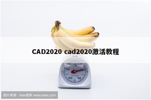 CAD2020 cad2020激活教程