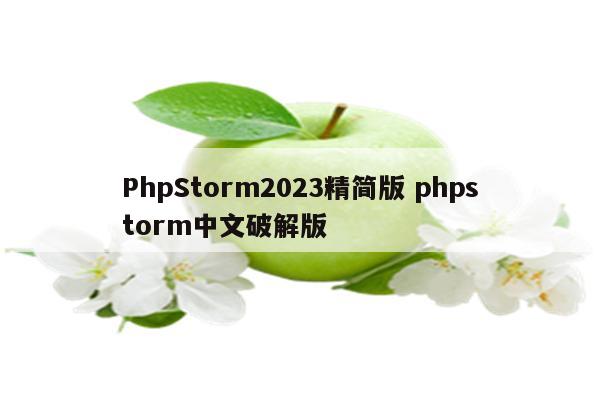 PhpStorm2023精简版 phpstorm中文破解版