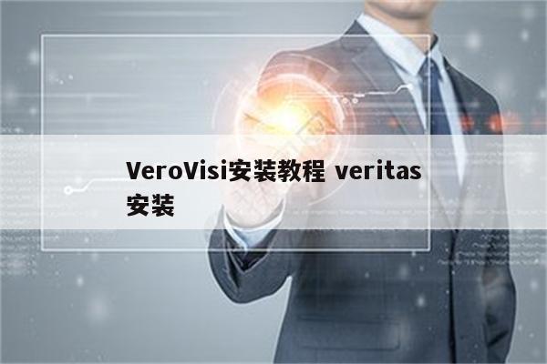 VeroVisi安装教程 veritas安装