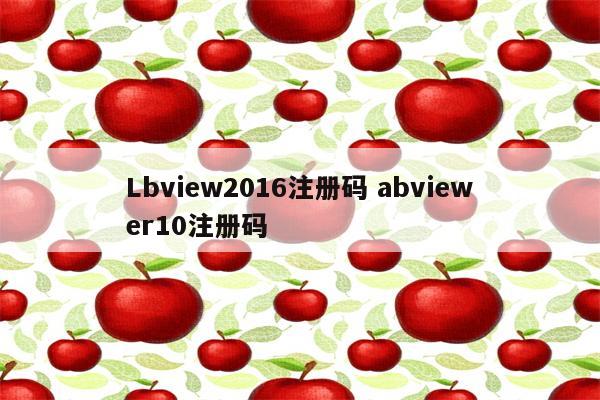 Lbview2016注册码 abviewer10注册码
