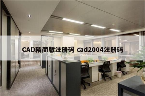 CAD精简版注册码 cad2004注册码