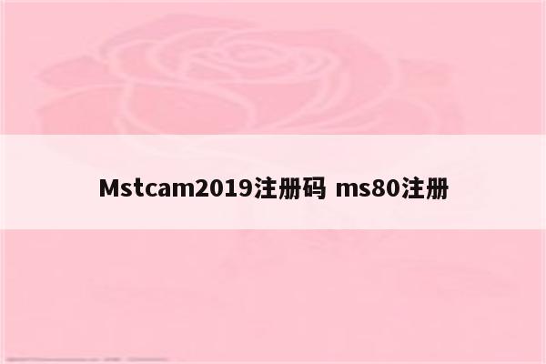 Mstcam2019注册码 ms80注册