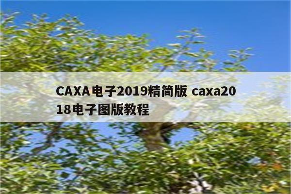 CAXA电子2019精简版 caxa2018电子图版教程