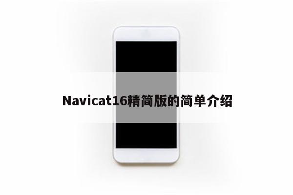 Navicat16精简版的简单介绍