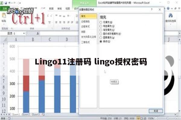 Lingo11注册码 lingo授权密码