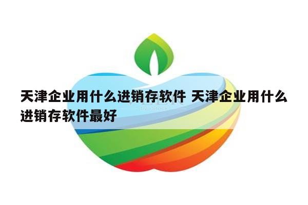 天津企业用什么进销存软件 天津企业用什么进销存软件最好