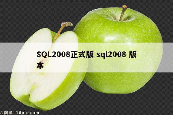 SQL2008正式版 sql2008 版本