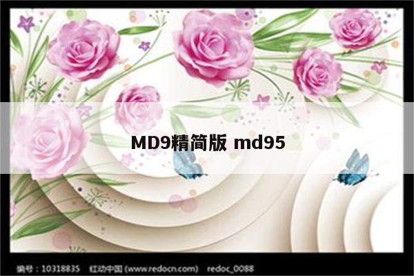 MD9精简版 md95