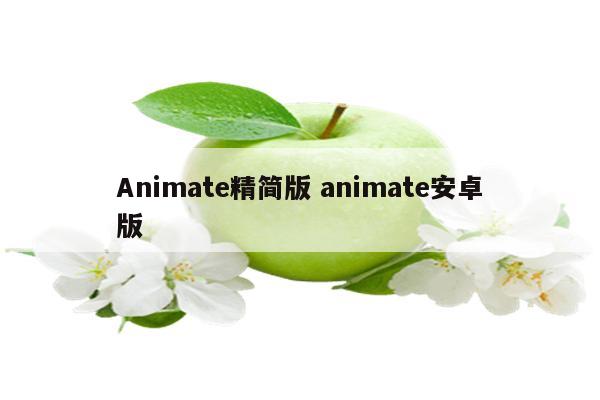 Animate精简版 animate安卓版