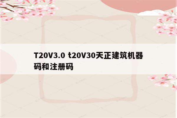 T20V3.0 t20V30天正建筑机器码和注册码