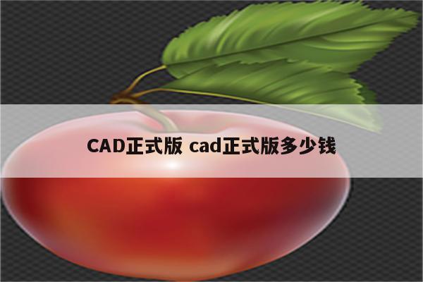 CAD正式版 cad正式版多少钱